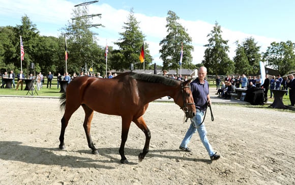 JM 160919 SFN Auction Kijkdag02